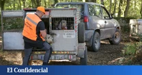 La caza genera 10.190 M de PIB en España al año y mantiene 199.000 puestos de trabajo