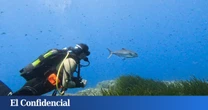 La Bluewave Alliance produce dos nuevos documentales de 'Waves of Tomorrow'