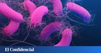 La IA descubre una nueva arma para combatir las bacterias resistentes a los antibióticos