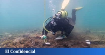 Exploran la ría de Arousa y encuentran por casualidad una especie desconocida para la ciencia