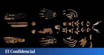 Humanos y grandes carnívoros convivieron hace 20.000 años en cuevas en España