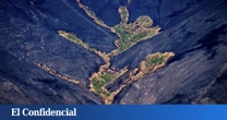 40 veces más probables: un nuevo estudio explica la tragedia de los incendios del verano