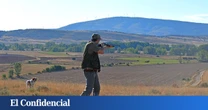 A fuego abierto por el plomo: las balas que enfrentan a científicos, cazadores y Gobierno