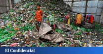 Europa no puede mirar hacia otro lado: el trabajo infantil empieza en tu cadena de suministro
