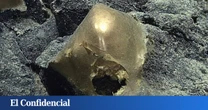 En 2023, un 'huevo de oro' apareció en Alaska a 3.250 metros de profundidad: por fin sabemos qué es
