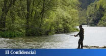 España se queda sin salmones y a nadie parece preocuparle: “Estamos en un punto de no retorno”