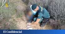 Descubren a seis cachorros abandonados en un saco en Níjar: la Guardia Civil identifica al culpable