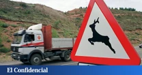 Castilla y León lidera los accidentes de tráfico causados por animales: el corzo, el principal peligro