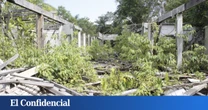 En 1927, Henry Ford construyó una ciudad 'a lo Elon Musk' en el Amazonas: fue una idea pésima
