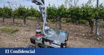 Este robot monitoriza la cosecha de unos viñedos en Toledo para mejorar futuras añadas