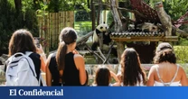 Zoopencos