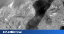 Japón analiza un trozo de asteroide y encuentra algo que se creía imposible: "Es como una semilla tropical"