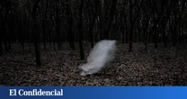 Estudian el cerebro humano y descubren que algo invisible hace que el 35% de la gente tenga experiencias paranormales