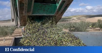 El secreto mediterráneo para conseguir sin esfuerzo la etiqueta ecológica