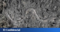 ¿Cómo evitar que la ceniza llegue al río? Cordones vegetales de ramas y paja para que no contamine el agua