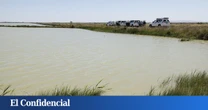 La Guardia Civil investiga unos restos óseos humanos hallados en un paraje de Isla Mayor (Sevilla)