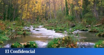 Ramón J. Soria Breña, experto en turismo rural en España: "El Alto Tajo es un paraíso ignorado. Nadie lo conoce y parece un río sueco o noruego"