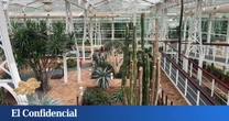 El infravalorado (y gratuito) jardín botánico de Madrid con más de 9.000 plantas de tres ecosistemas diferentes al que tienes que ir sí o sí este verano