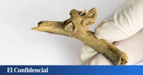 Hace 4.000 años le dispararon en los Pirineos: han hallado su costilla con una flecha clavada