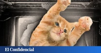 El festival más apasionante si eres amante de estos animales: proyecta únicamente vídeos de gatos
