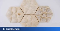 El invento que enfría la casa sin gastar energía: un azulejo vivo con piel de elefante