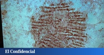 Esta es la huella dactilar más antigua del mundo: tiene 43.000 años y está en España