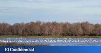 La cara B del temporal: las borrascas llenan el acuífero de Doñana y llevan agua a Daimiel