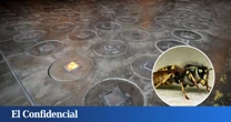 Estudian una antigua fábrica de bombas nucleares y se encuentran un nido de avispas radiactivas