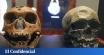 La exposición al plomo pudo proteger el cerebro de los Homo sapiens