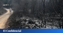 Lluvia de fuego en Castilla y León: Las Médulas salva sus minas romanas, pero no castaños centenarios