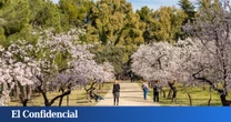 De residencia de verano a escenario de cine: el histórico parque (famoso por la floración de sus almedros) que ya es BIC
