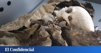 En 1985, un biólogo encontró un misterioso cráneo en la Antártida: hoy, la ciencia sigue buscando explicaciones