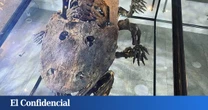 Un fósil con 300 M de años le dice a la ciencia que algo parecido al dinosaurio de 'Toy Story' existió de verdad