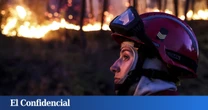 "La culpa es del eucalipto". Bulos y medias verdades que avivan la tragedia de los incendios