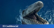 El verdadero monstruo del Cretácico es este nuevo 'T. rex' acuático que medía 13 metros y aplastaba cráneos de un mordisco