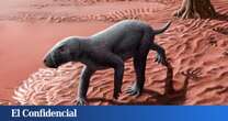 El origen de los mamíferos está en Mallorca: hallan su antepasado más antiguo del mundo