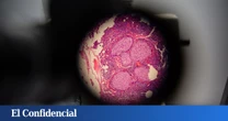 Retan a una IA a resolver un enigma sobre el origen de la vida compleja en la Tierra y esto es lo que sucede