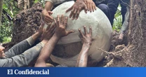Un árbol cae en el Amazonas y deja al descubierto siete esferas que no deberían estar ahí