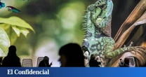 Vive la nueva exposición inmersiva de 'National Geographic' en Barcelona: una aventura por la naturaleza con entrada gratuita para menores de 16 años
