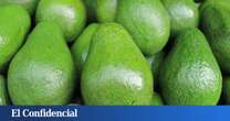 ¿Adiós a los aguacates en España? Esto es lo que dice la ciencia sobre su cultivo