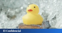 De reparar barcos a sellar heridas: la IA ha creado un superpegamento submarino que se adhiere como un percebe
