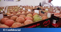 Olviden los tomates de Marruecos: Bruselas quiere fruta y verdura 'Made in Europe' en los colegios