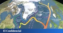 Los científicos esperan un gran colapso en 2030: “Está en riesgo nuestra supervivencia”