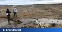 Los glaciares rusos se derriten y dejan a la vista enormes huesos prehistóricos que no deberían estar ahí