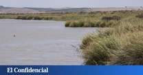 Un herido al colisionar dos narcolanchas en el Guadalquivir mientras eran perseguidas