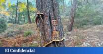 La senda encantada que tienes que recorrer entre bosques, montañas y paisajes que parecen sacados de un cuento de hadas