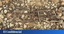 Corea del Sur excava una fosa común y el ADN revela un macabro secreto oculto desde hacía 1.500 años