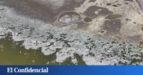 El 100% de los peces de un lago en EEUU mueren de la noche a la mañana y la ciencia trata de dar una explicación