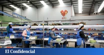 La agricultura ecológica crece en 10 años un 88% en Andalucía, líder europea del sector