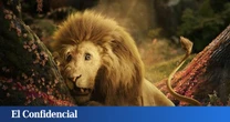 Es oficial: el inesperado actor de Hollywood que doblará al león cobarde de 'El mago de Oz' en 'Wicked: Parte II'
